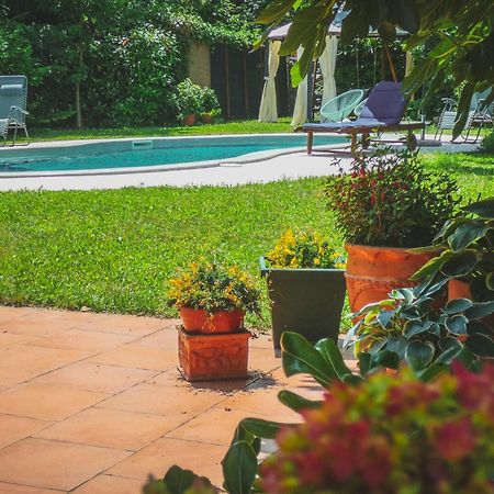 Apartment Nona Ancka Marezige Ngoại thất bức ảnh