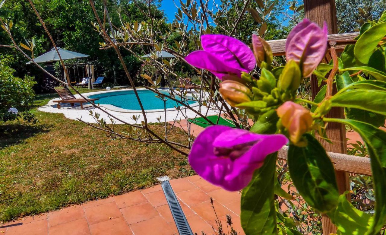 Apartment Nona Ancka Marezige Ngoại thất bức ảnh