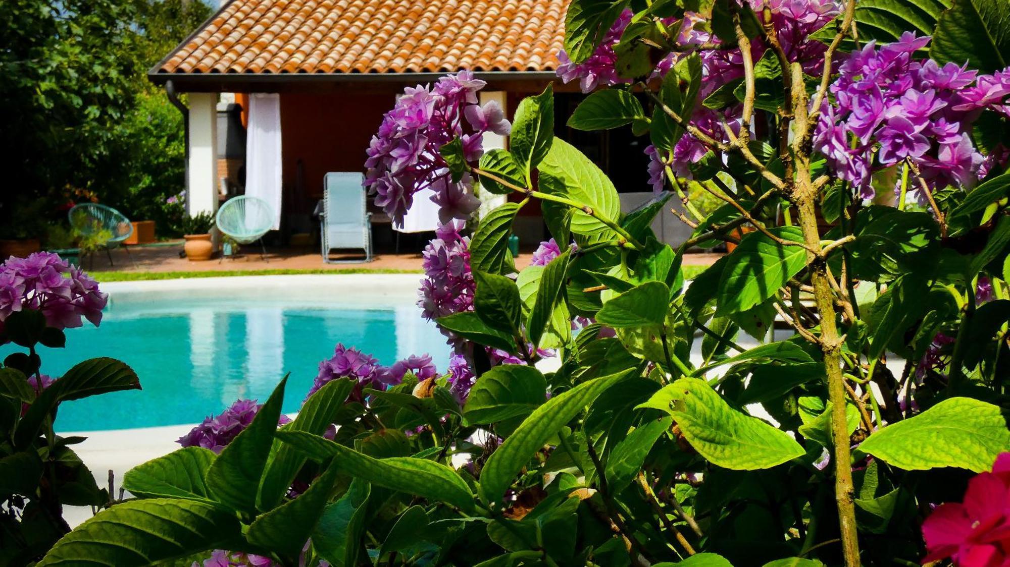 Apartment Nona Ancka Marezige Ngoại thất bức ảnh